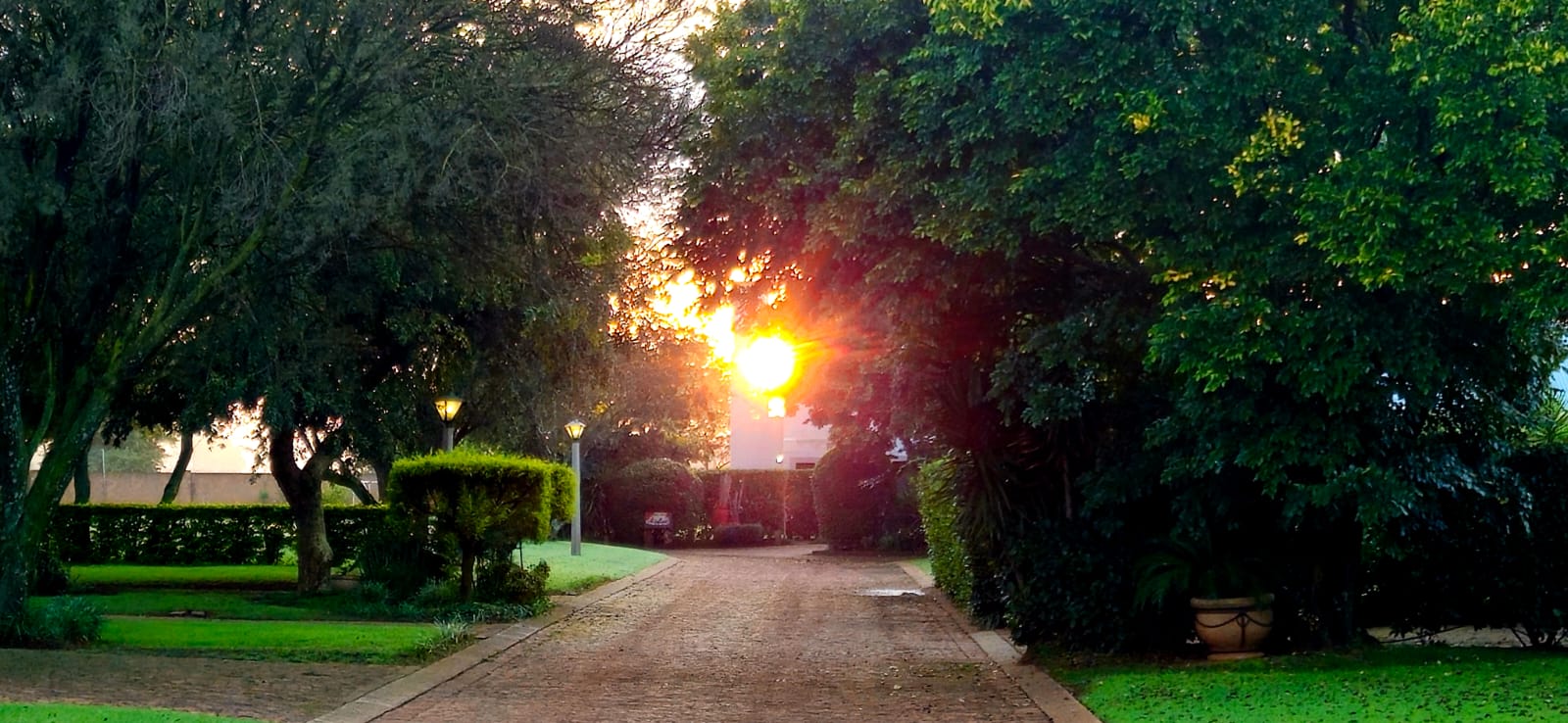Rise&Shine